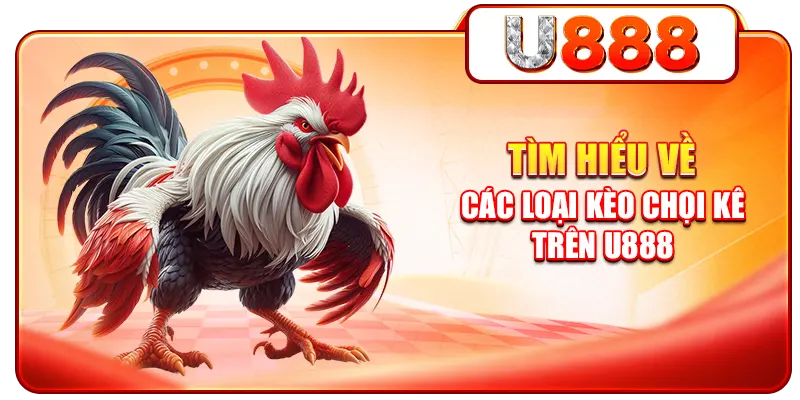 Tìm hiểu về các loại kèo chọi kê trên U888
